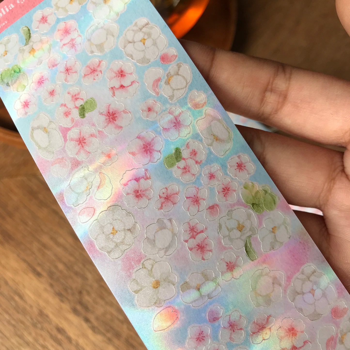 Magnolia & Cherry Blossom