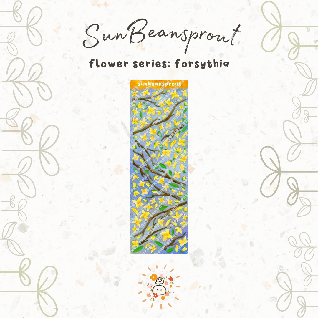 Forsythia (Forsythia × intermedia)