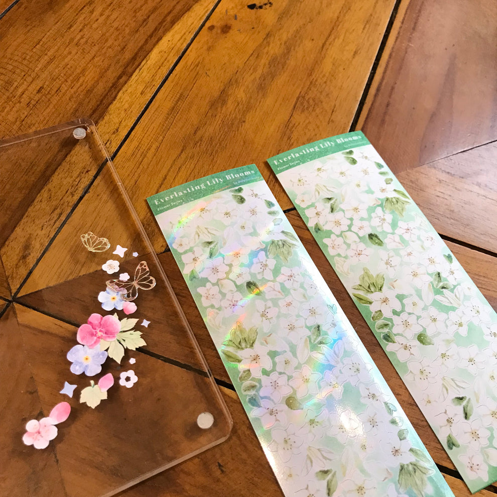 Everlasting Lily Blooms