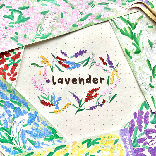 Lavender (Lavandula)